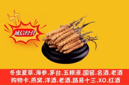 安顺市紫云高价上门回收虫草多少钱每克